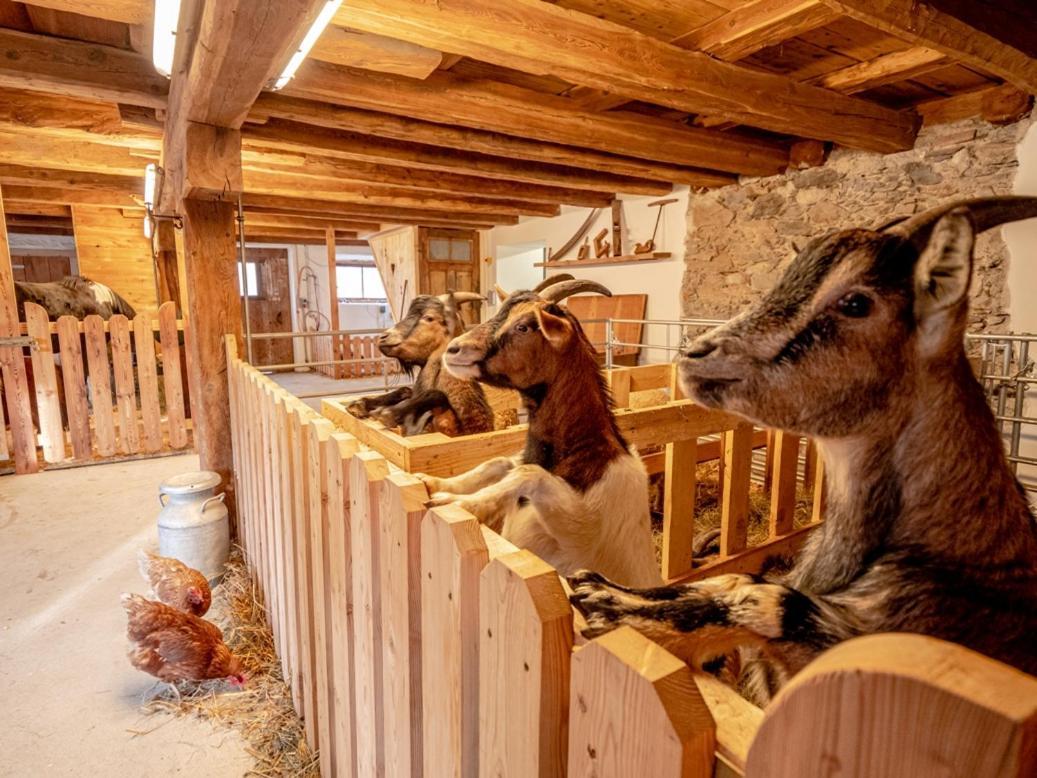 Zeiserhof Ramsau am Dachstein Eksteriør bilde