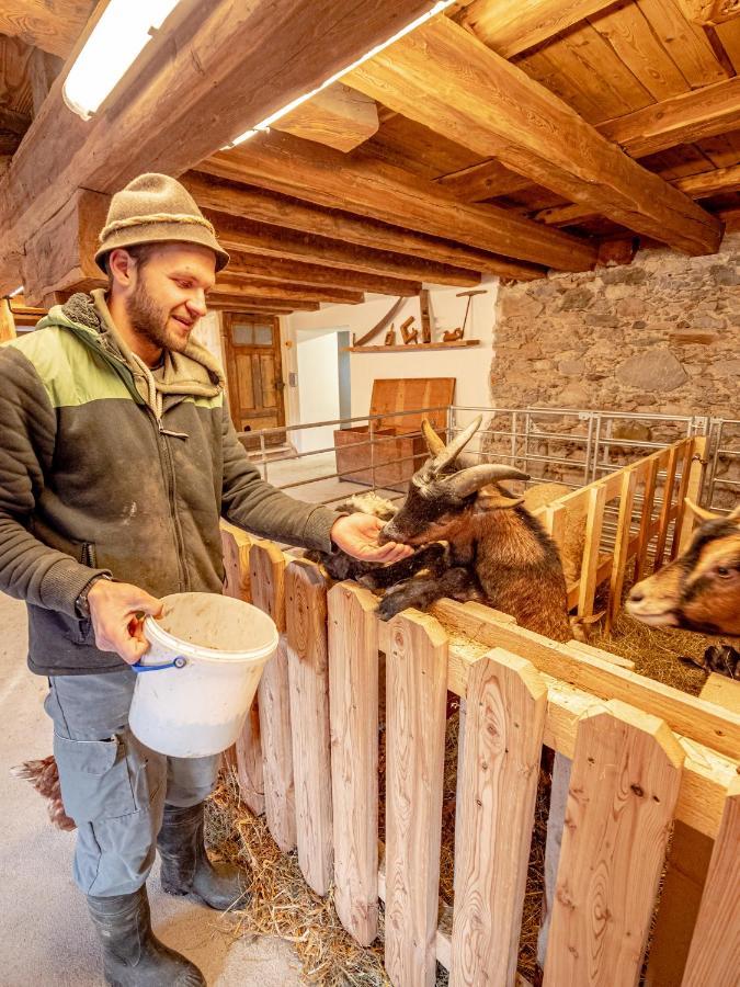 Zeiserhof Ramsau am Dachstein Eksteriør bilde